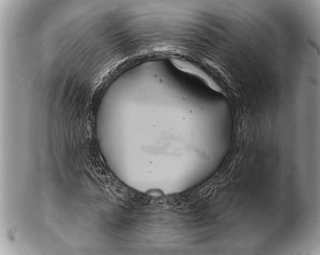 X0000100390776200806201713