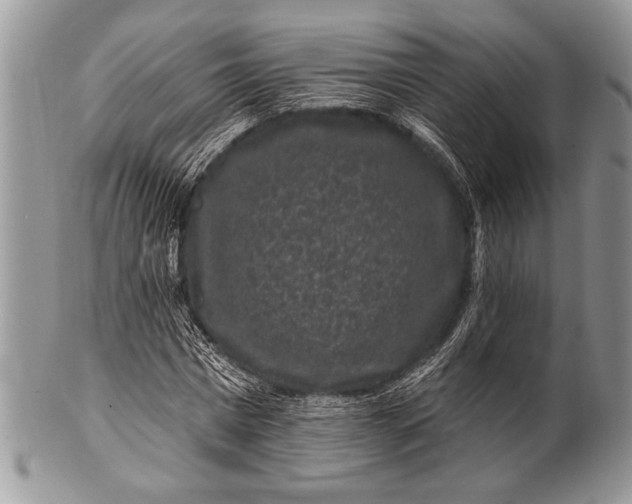 X0000100390777200806201713