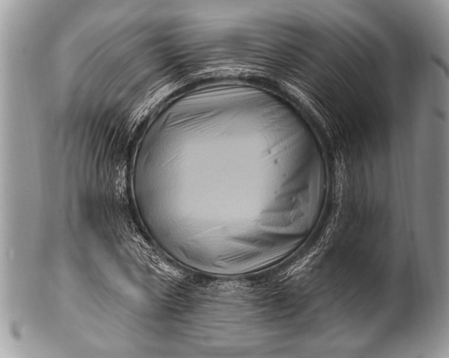 X0000100390778200806201713