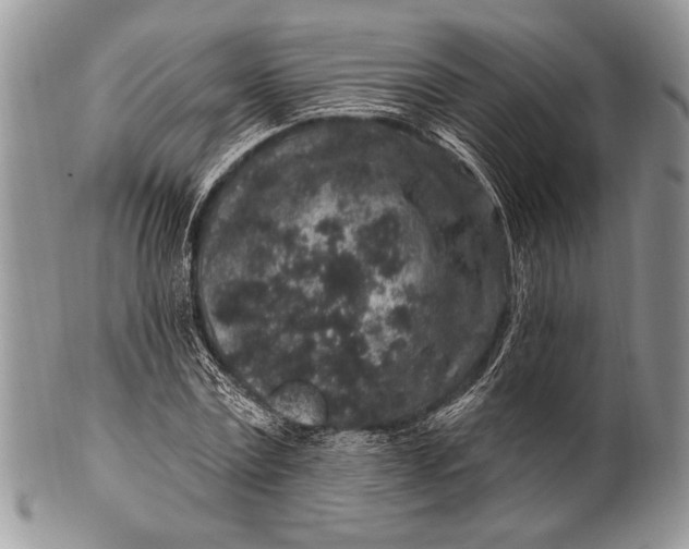 X0000100390779200806201713