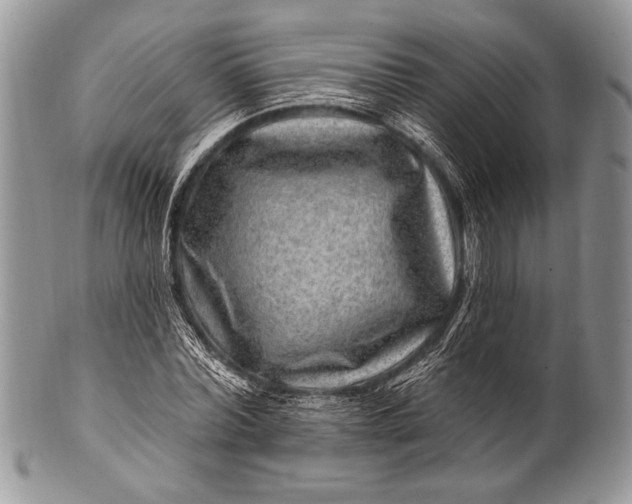 X0000100390780200806201713