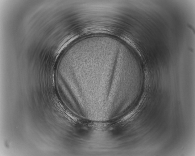 X0000100390782200806201713