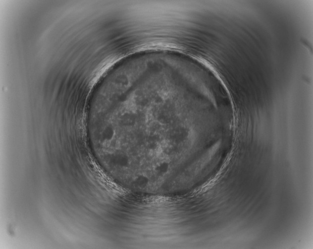 X0000100390783200806201713