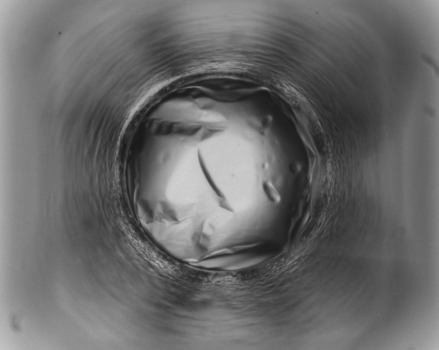 X0000100390784200806201713