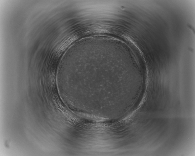 X0000100390785200806201713