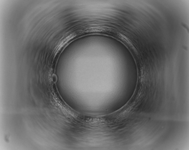 X0000100390786200806201713