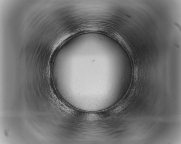 X0000100390787200806201713