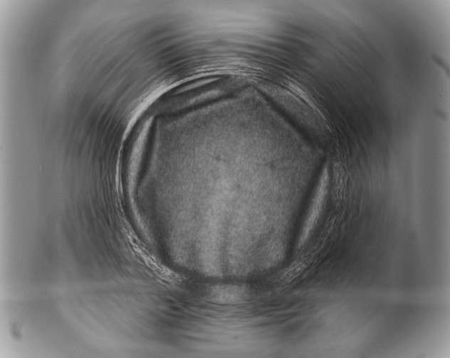 X0000100390788200806201713