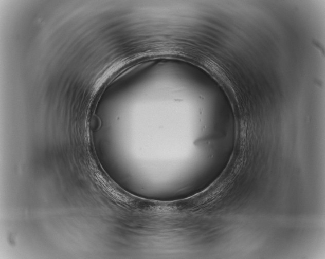 X0000100390789200806201713