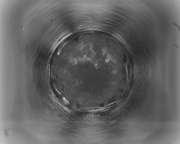 X0000100390790200806201713