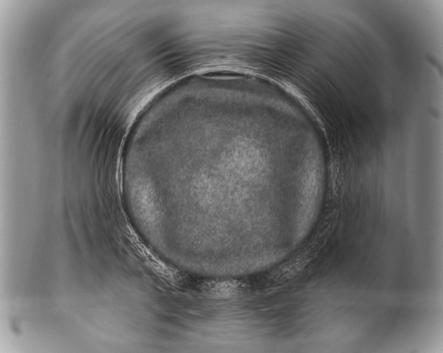 X0000100390791200806201713