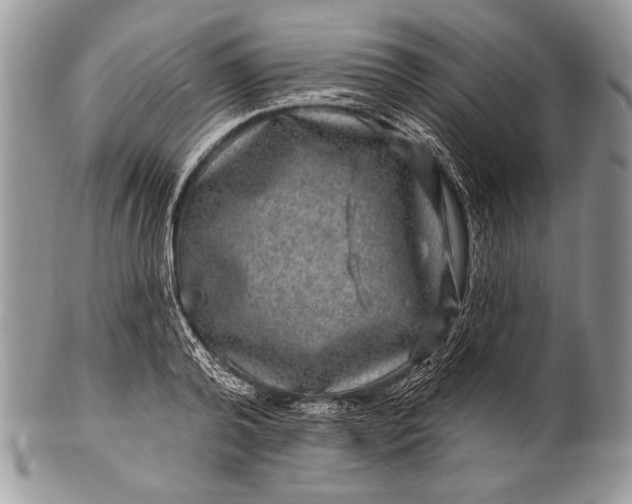 X0000100390792200806201713