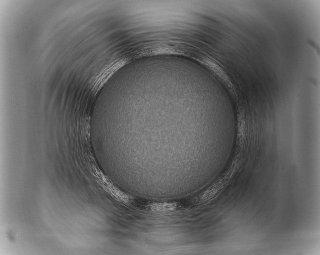 X0000100390793200806201713