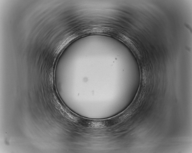 X0000100390794200806201713