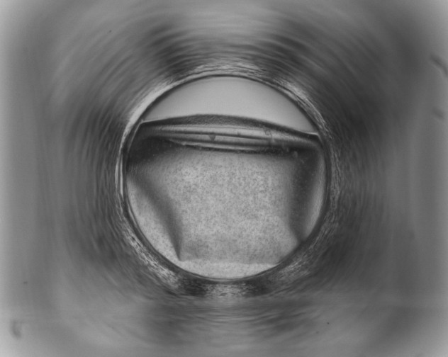 X0000100390796200806201712