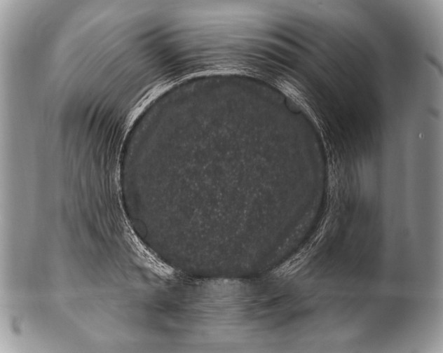 X0000100390797200806201712