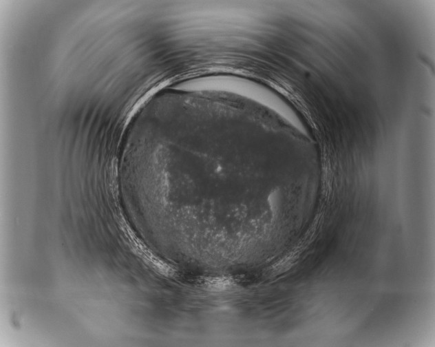 X0000100390798200806201712