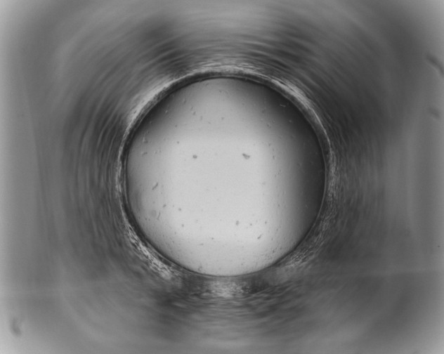 X0000100390799200806201712