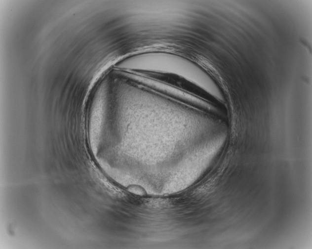 X0000100390800200806201712