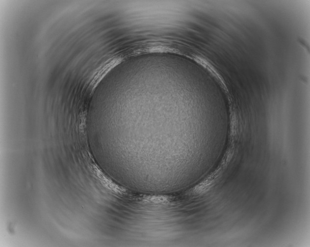 X0000100390801200806201712