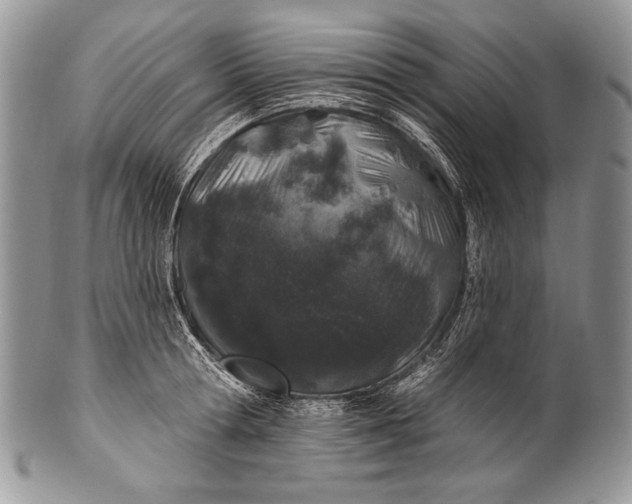 X0000100390802200806201712