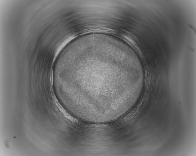 X0000100390804200806201712