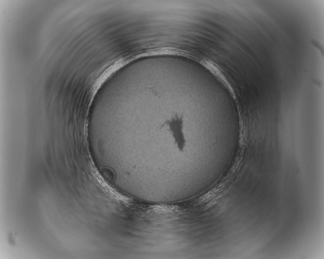 X0000100390805200806201712