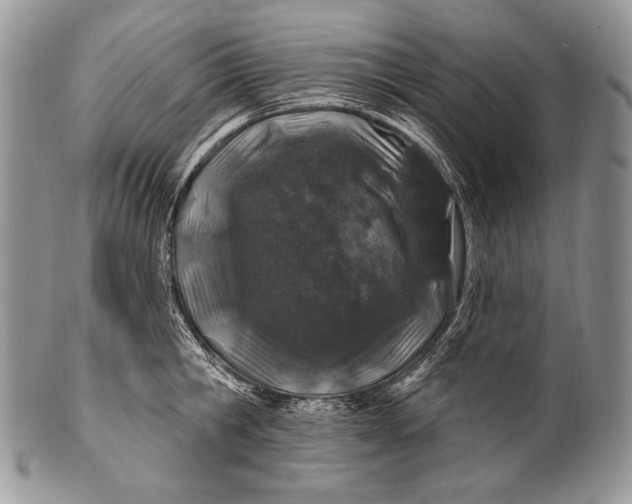 X0000100390806200806201712