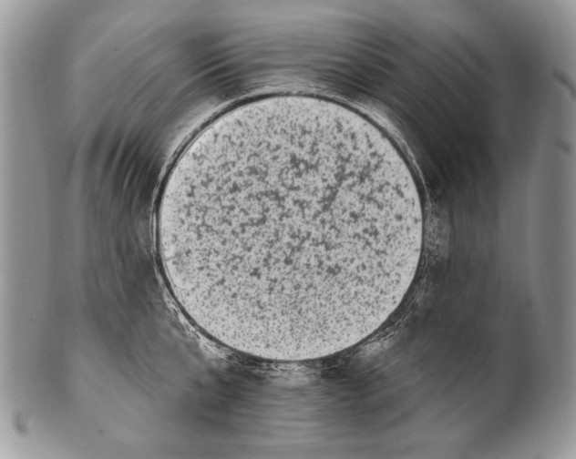 X0000100390807200806201712