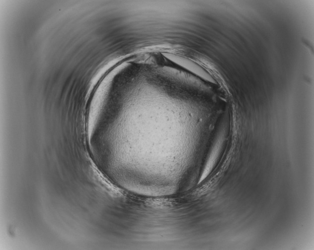 X0000100390808200806201712