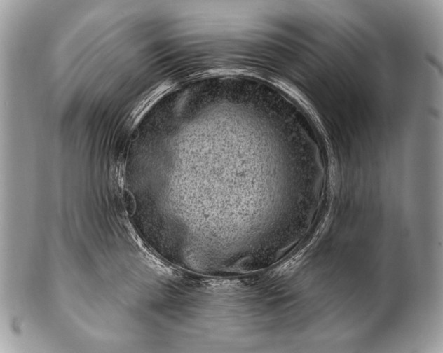 X0000100390809200806201712