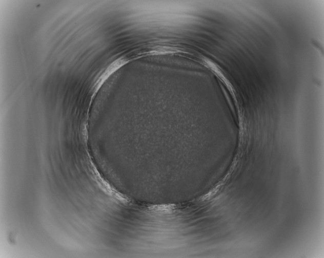 X0000100390810200806201712