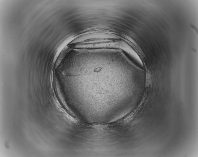 X0000100390812200806201712