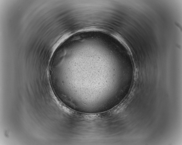 X0000100390813200806201712