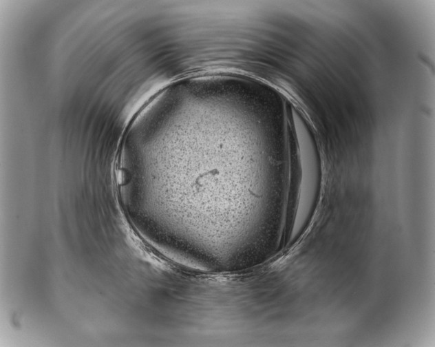 X0000100390814200806201712