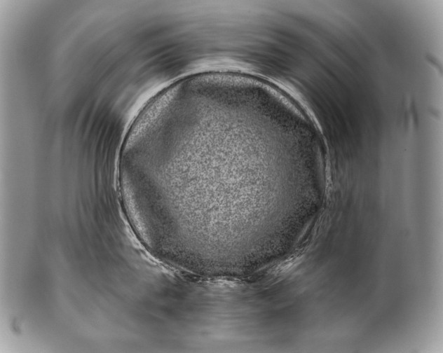 X0000100390815200806201712