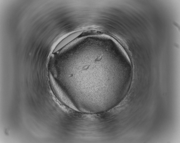 X0000100390816200806201712