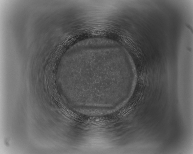 X0000100390817200806201711