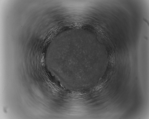 X0000100390818200806201711