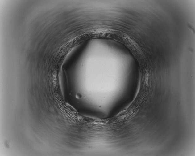 X0000100390821200806201712