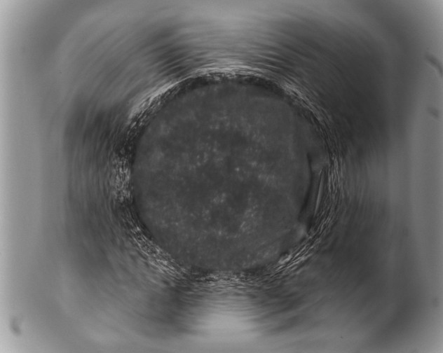 X0000100390822200806201712