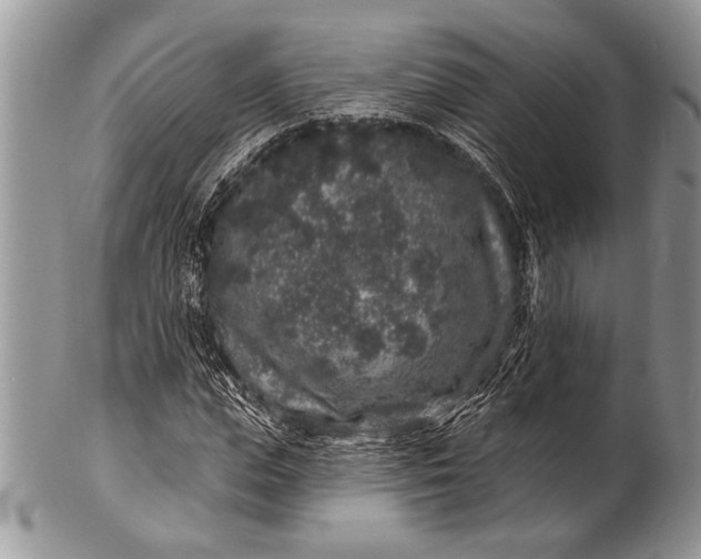 X0000100390823200806201712