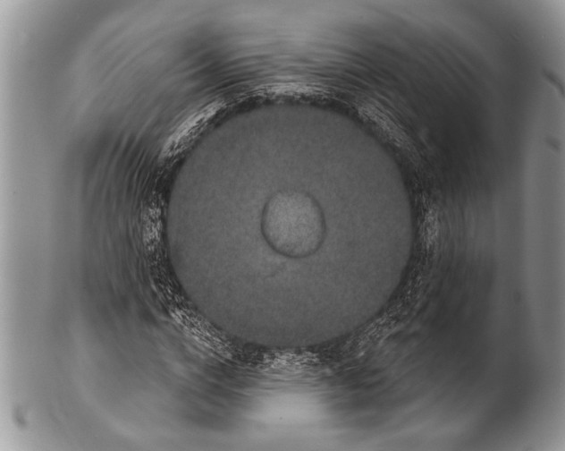 X0000100390824200806201712