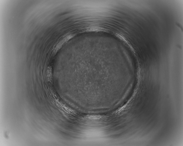 X0000100390825200806201712