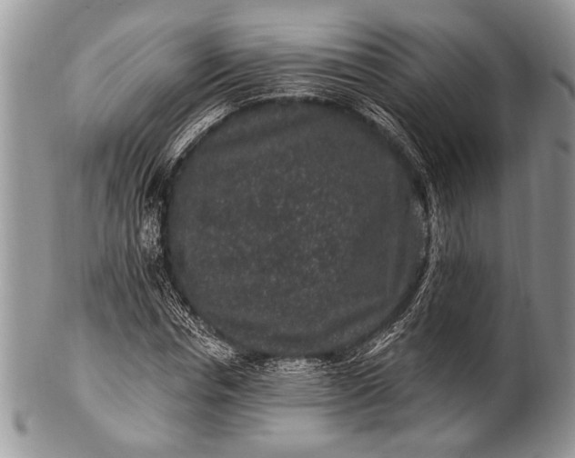 X0000100390826200806201712