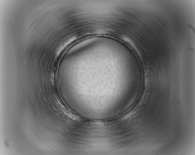 X0000100390827200806201712