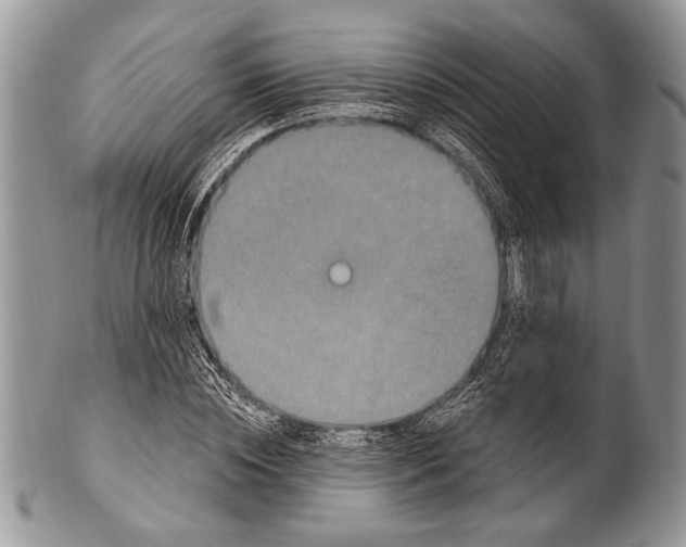 X0000100390828200806201712