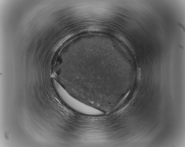 X0000100390829200806201712