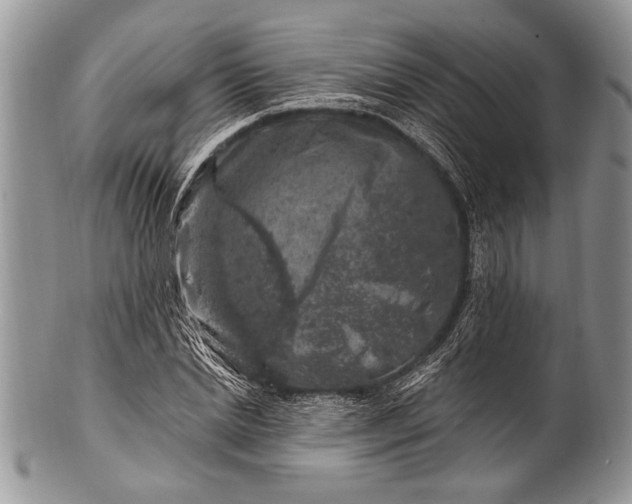 X0000100390830200806201712