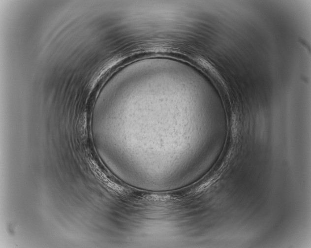 X0000100390831200806201712